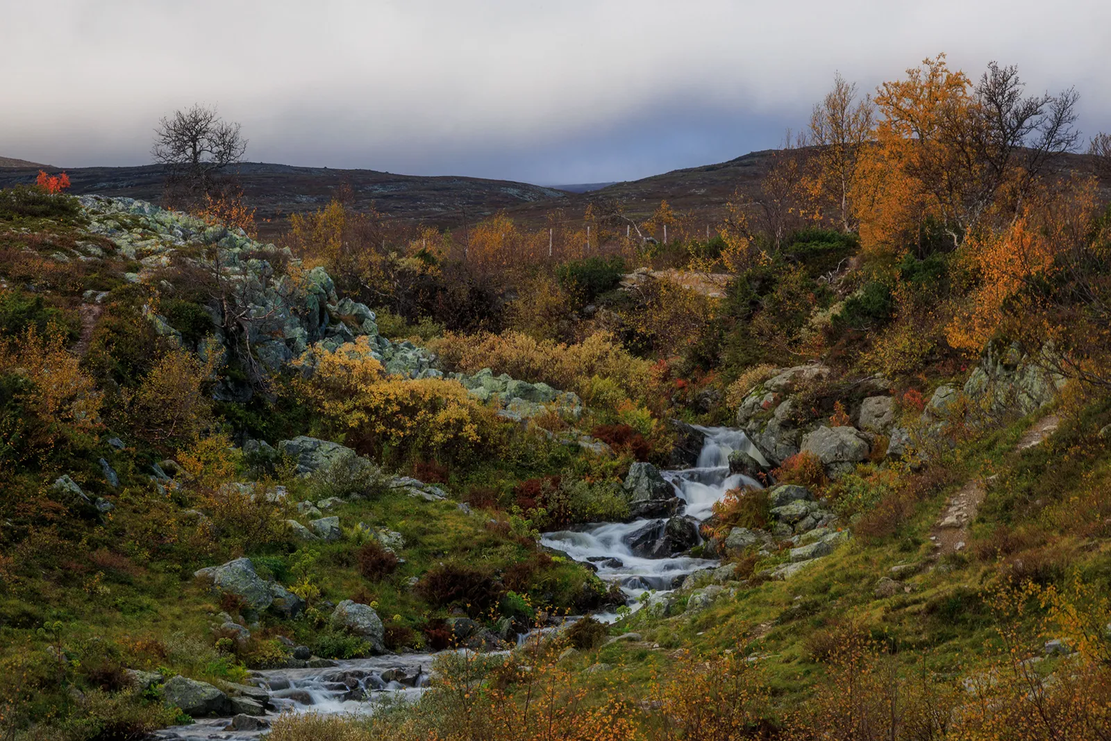 Silverfallet i Grövelsjön