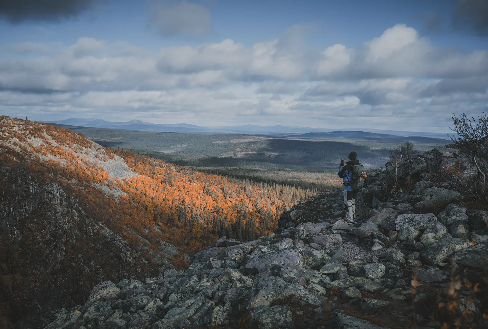 Utsikt över Fulufjällets landskap från toppen av Njupeskär.