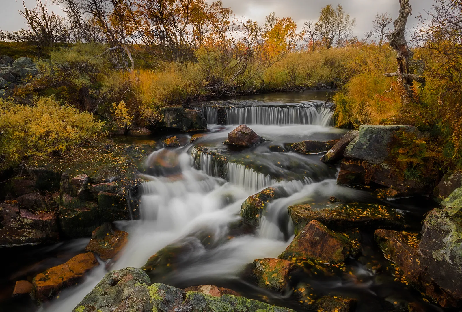 Litet vattenfall ovanför Njupeskär med rinnande vatten över klippor i Fulufjällets nationalpark.