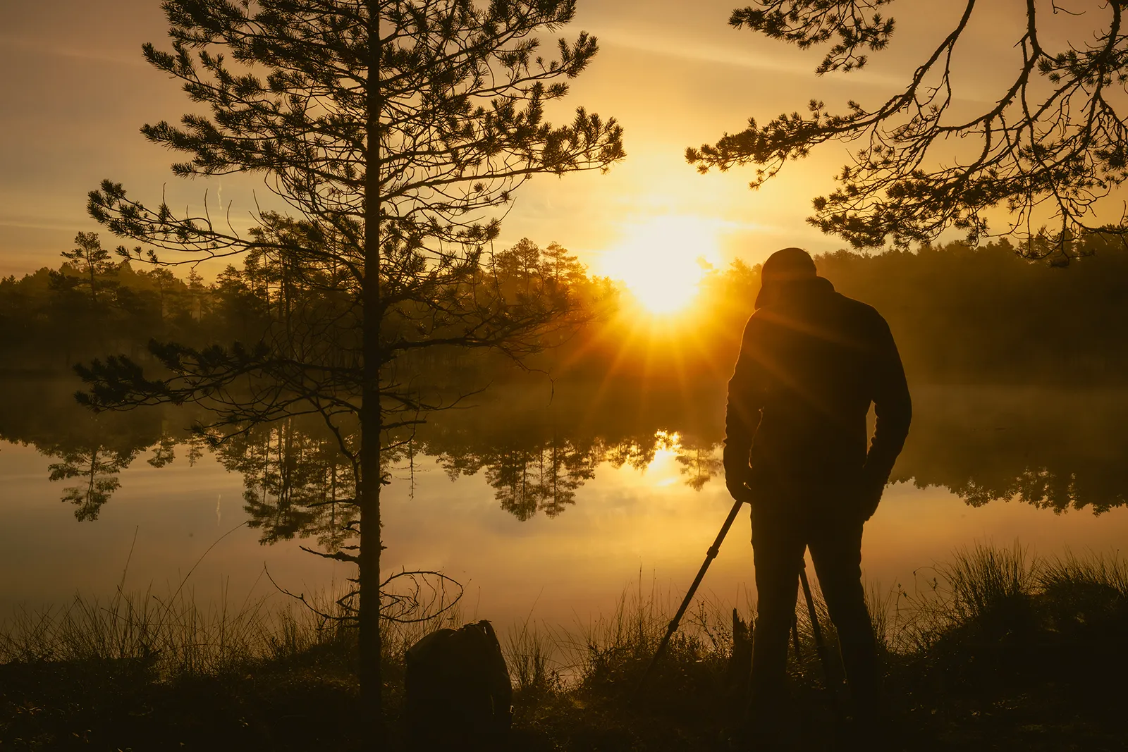 Siluett av fotograf vid mosse och stor sunstar